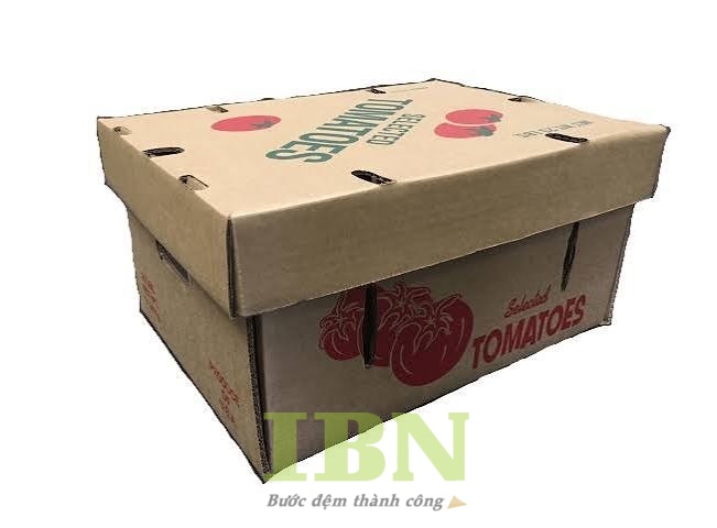 Mẫu thùng giấy carton đựng cà chua chất lượng