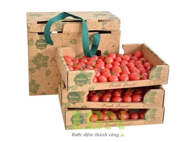 Mẫu thùng giấy carton đựng cà chua có quai xách tiện lợi
