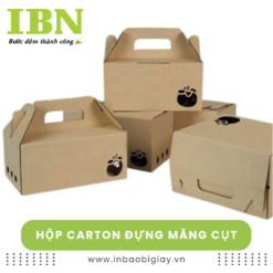 Hộp carton đựng măng cụt