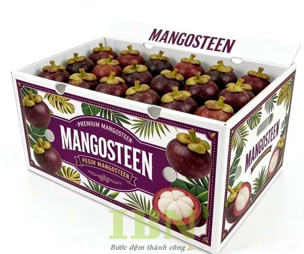 Quy cách thiết kế, in ấn hộp giấy carton đựng măng cụt tiêu chuẩn tại In Bảo Ngọc