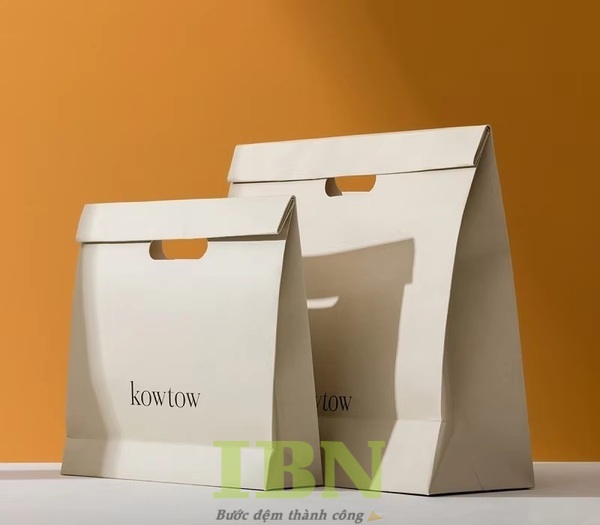 Mẫu túi giấy khoét chất lượng, có nắp gập