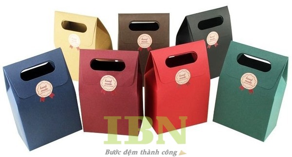 Mẫu túi giấy khoét quai có nắp đậy