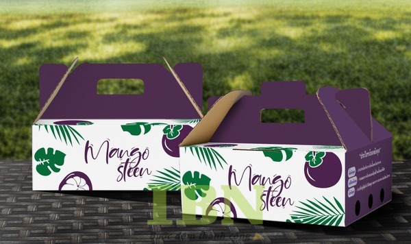 Mẫu hộp carton đựng măng cụt có tay cầm