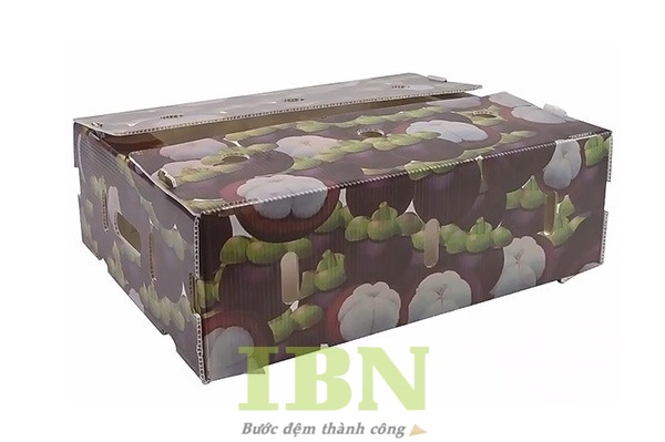 Mẫu hộp giấy carton đựng măng cụt kiểu nắp đối khẩu