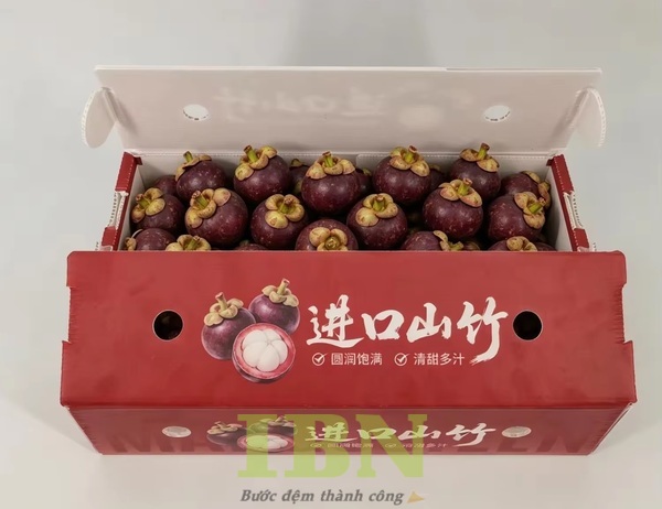 Mẫu hộp giấy carton đựng măng cụt kiểu nắp gài, đối khẩu