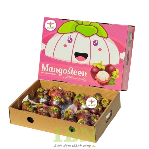 Mẫu hộp carton đựng măng cụt nắp rời, thiết kế ấn tượng
