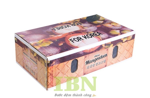 Mẫu hộp carton đựng măng cụt nắp A1