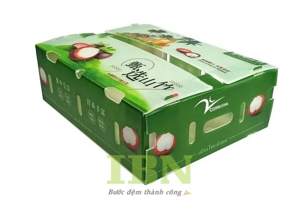 Mẫu hộp carton đựng măng cụt chất lượng, đẹp mắt