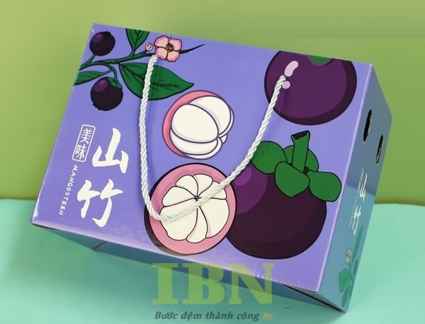 Mẫu hộp carton đựng măng cụt có quai xách hai bên