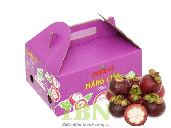 Mẫu hộp carton đựng măng cụt nắp gài, có tay cầm