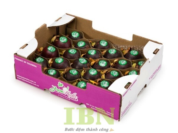 Mẫu hộp giấy carton đựng măng cụt không nắp, có vách ngăn
