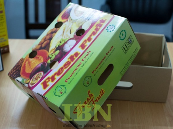 Mẫu hộp giấy đựng măng cụt kiểu nắp rời