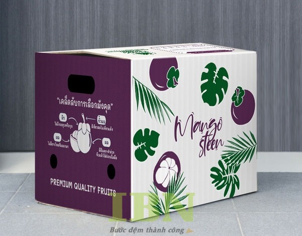 Mẫu hộp giấy đựng măng cụt đẹp, chất lượng bằng carton