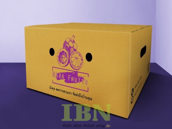 Mẫu hộp carton đựng măng cụt nắp đối khẩu