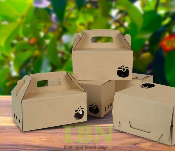 Mẫu hộp carton đựng măng cụt thiết kế đơn giản, thu hút