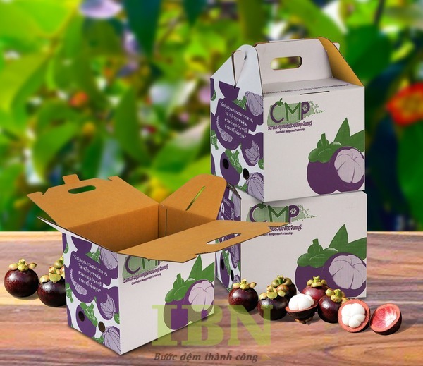 Mẫu hộp carton 3 lớp đựng măng cụt