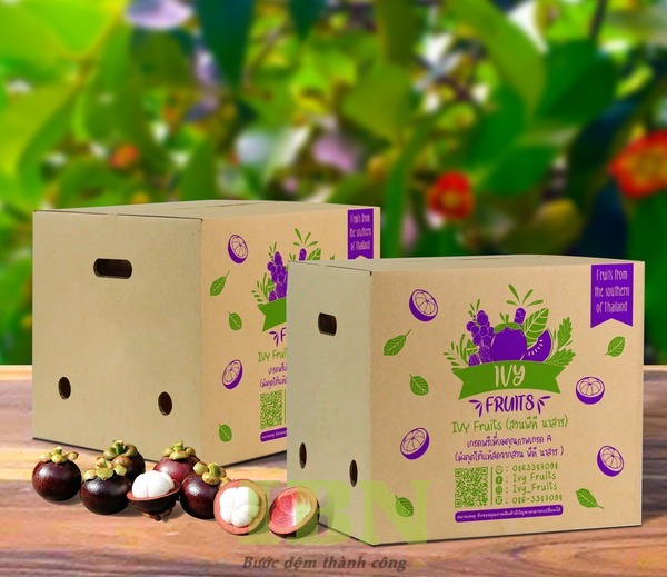 Mẫu hộp carton đựng măng cụt nắp A1 dán băng keo, có lỗ thoáng khí