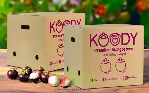 Mẫu hộp carton đựng măng cụt nắp A1