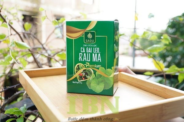 Mẫu hộp giấy đựng bột rau má + cà gai leo