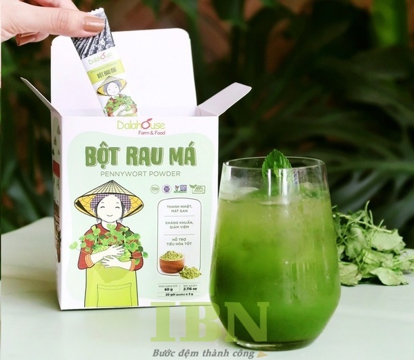 Mẫu hộp giấy đựng bột rau má kiểu nắp gài