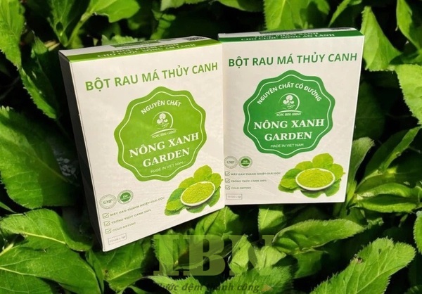 Mẫu hộp đựng bột rau má thủy canh