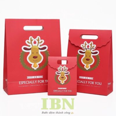 Top 35+ Mẫu Túi Giấy Noel Đẹp, Giá Rẻ Thiết Kế Theo Yêu Cầu